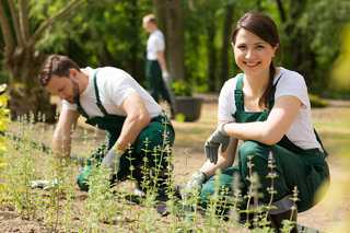 Fun Jobs for Canadians