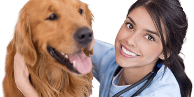 Veterinary Schools | Animal Care Courses and Programs