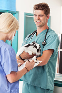 veterinary-assistant-ca-pin.jpg