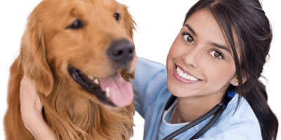 Veterinary Assistant Schools & Colleges